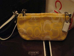 美国代购Coach包 高性价比的时尚选择与购买指南